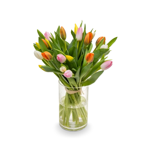 Kytice  tulipánů